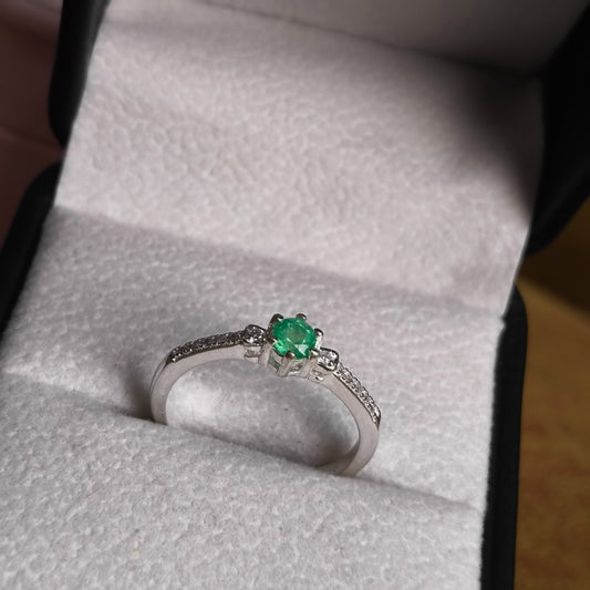 Anillo Royal Glimmer en Plata 925 con Esmeralda Natural Colombiana